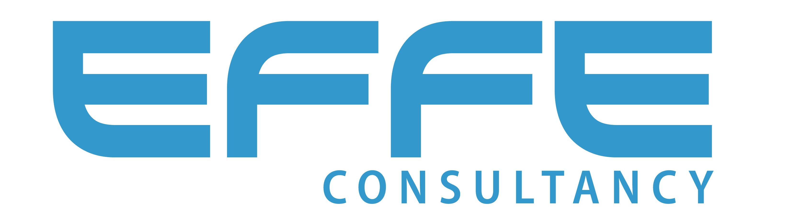 EFFE CONSULTANCY PRIVATE LIMITED